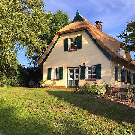 Ferienhaus Preetz 1A - Idylle Unter Reet Burtevitz 外观 照片