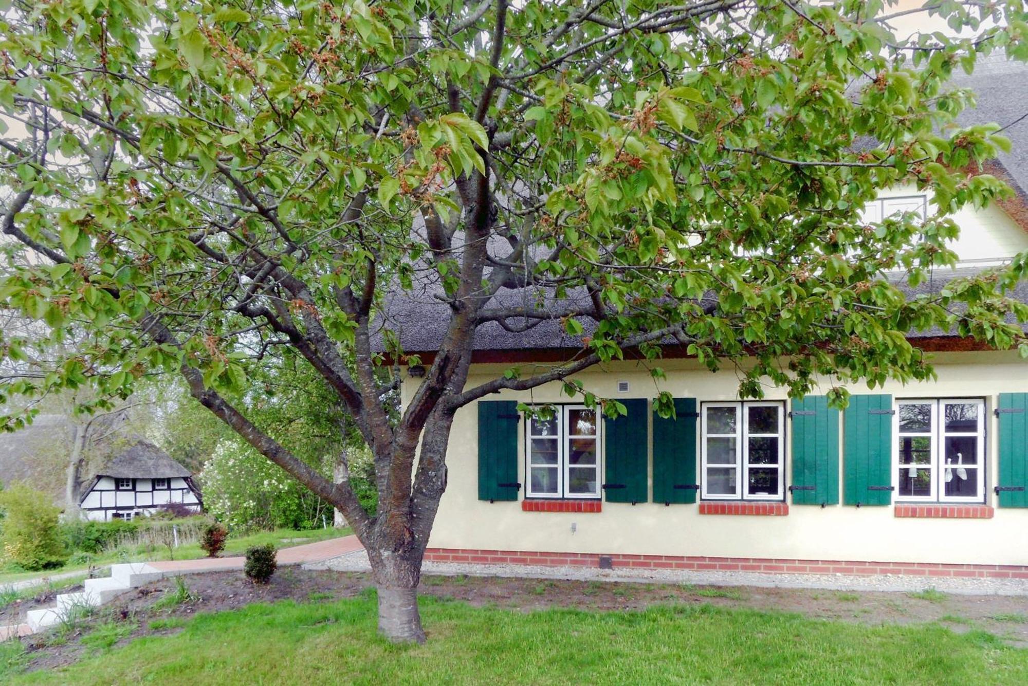 Ferienhaus Preetz 1A - Idylle Unter Reet Burtevitz 外观 照片