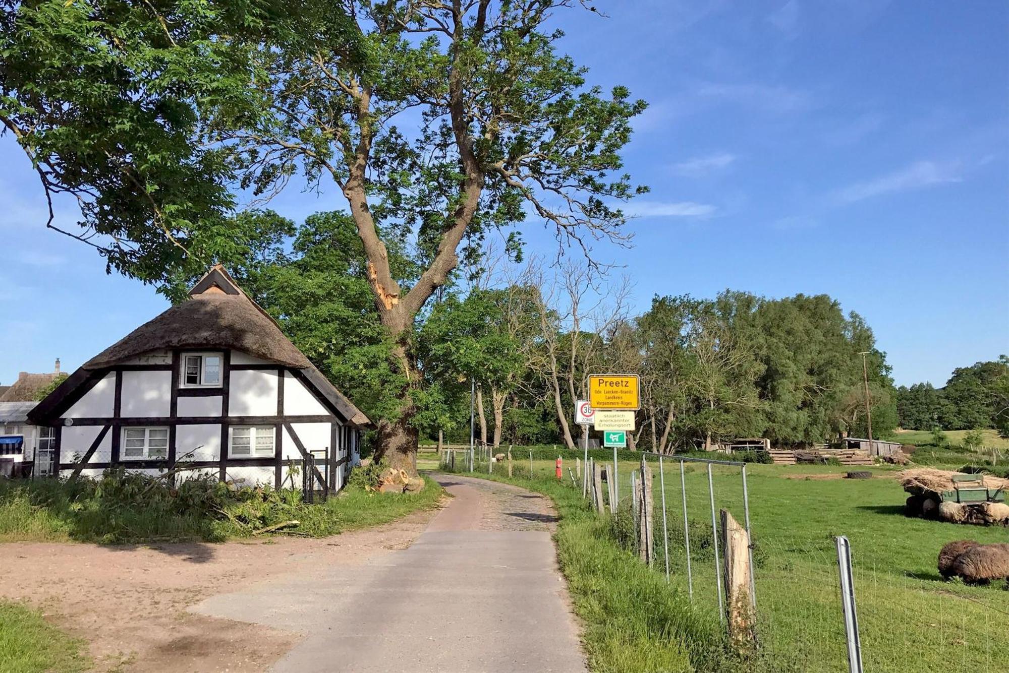 Ferienhaus Preetz 1A - Idylle Unter Reet Burtevitz 外观 照片